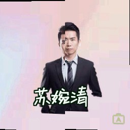 苏婉清